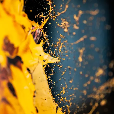 Lyc Designer Studio, Prenzlauer Berg, Up To 4 Ppl דירה ברלין