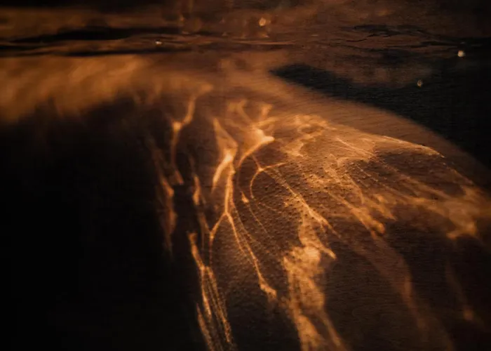 Lyc Designer Studio, Prenzlauer Berg, Up To 4 Ppl Apartment *