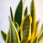 דירה Lyc Designer Studio, Prenzlauer Berg, Up To 4 Ppl *