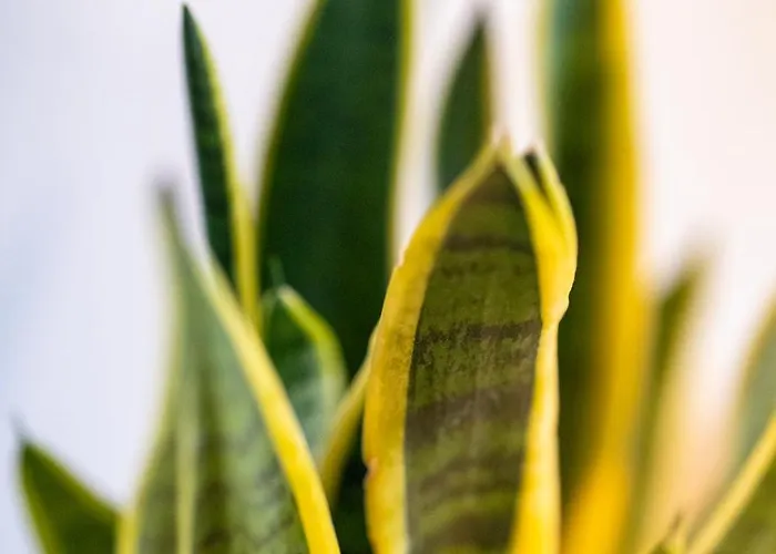 شقة Lyc Designer Studio, Prenzlauer Berg, Up To 4 Ppl *