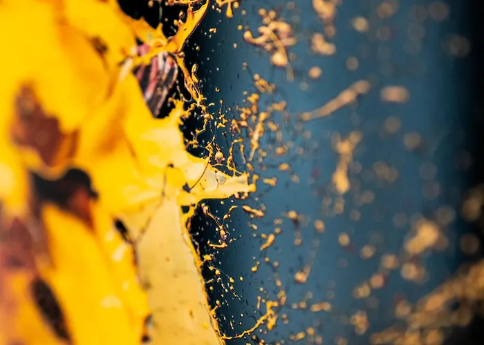 Lyc Designer Studio, Prenzlauer Berg, Up To 4 Ppl شقة برلين